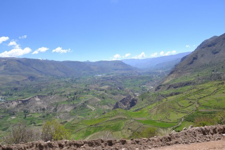 Great view of the terrasses between Tapay and Cabanaconde