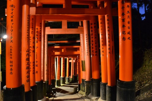 Torii gates just keep going on and on