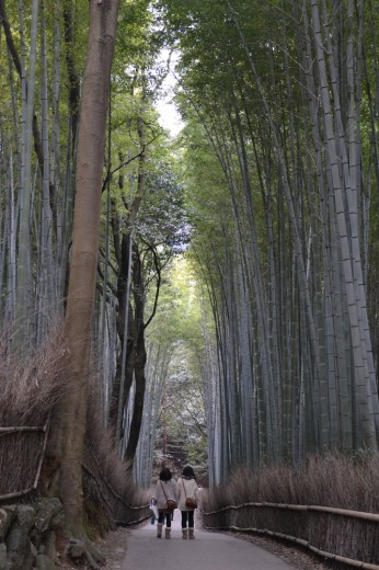 Arashiyama's bamboo forest