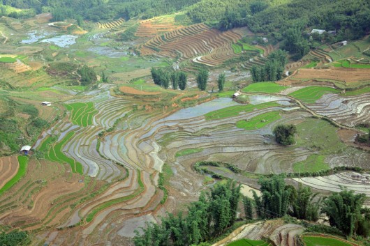 Majestic valley full of rice paddies in Sapa