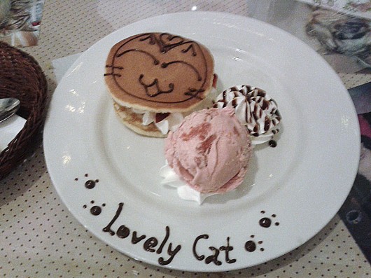 Cat pancake with ice cream