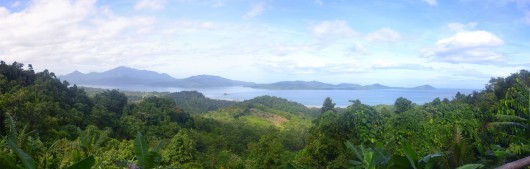 View on the way to Underground river