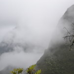On my way up to Machu Picchu mountain. Killer hike....