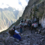 Local merchants moving their goods with mules