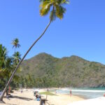 Dreamy beach scene in Choroni