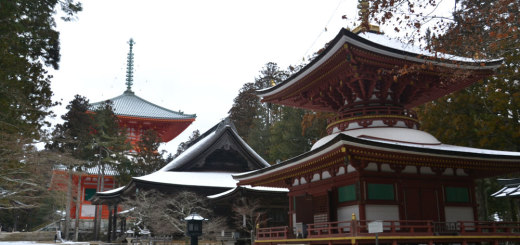 Lovely temple and shrines in Koya town